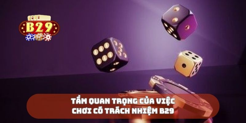 Tầm quan trọng của việc chơi có trách nhiệm B29